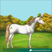 Horse Color:Buckskin Roan Pearl Dun  and Buckskin Roan Pearl Dun 