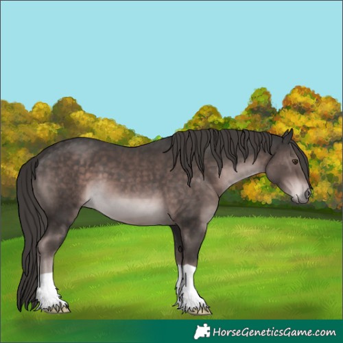 Horse Color:Platinum Liver Chestnut 
