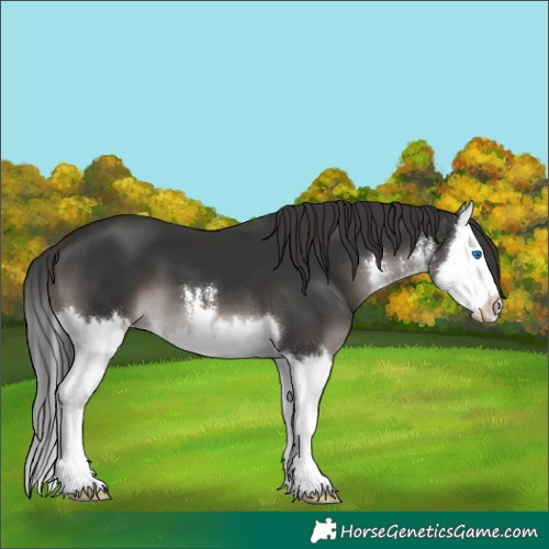Horse Color:Platinum White Spotted Liver Chestnut Splash 