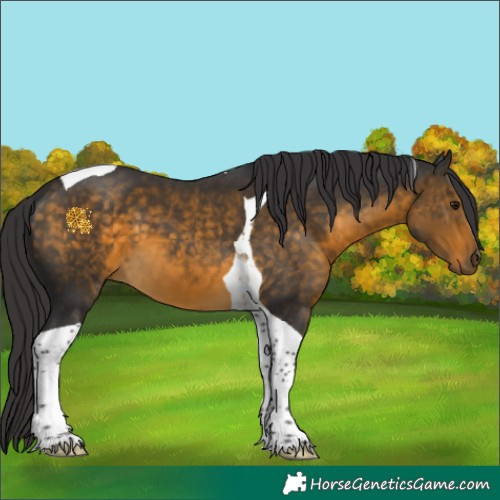Horse Color:Buckskin Tobiano 