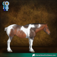 Horse Color:Bay Tobiano Rabicano 