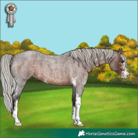 Horse Color:Silver Brown Roan Sabino 