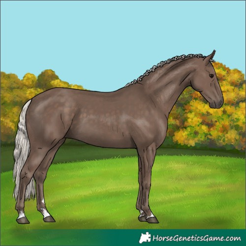 Horse Color:Silver Black 