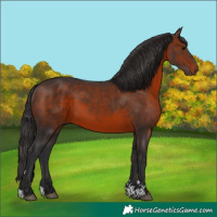 Horse Color:Brown 