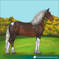 Horse Color:Liver Chestnut Mushroom Tobiano