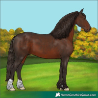 Horse Color:Liver Chestnut 
