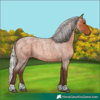 Horse Color:Silver Bay Roan 