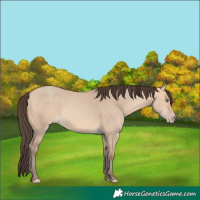 Horse Color:Amber Champagne Dun 