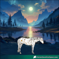 Horse Color:Silver Buckskin Dun Near Leopard 