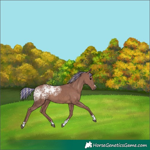 Horse Color:Painted Chocolate Silver Black Ice