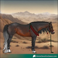 Horse Color:Brown 