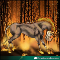 Horse Color:Classic Champagne 