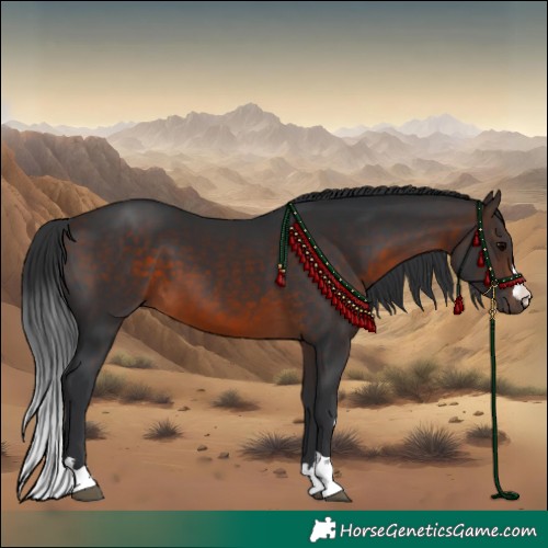 Horse Color:Brown 