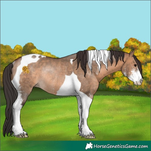 Horse Color:Brown Dun Sabino Tobiano Rabicano 