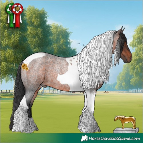 Horse Color:Brown Roan Tobiano 