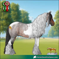 Horse Color:Brown Roan Tobiano 