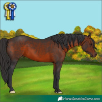 Horse Color:Brown 