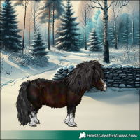 Horse Color:White Spotted Midnight Brown 