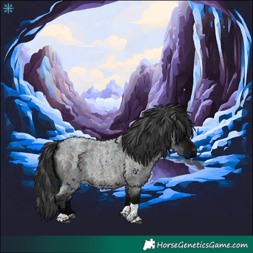 Horse Color:Midnight Grullo Ice Roan Tobiano 