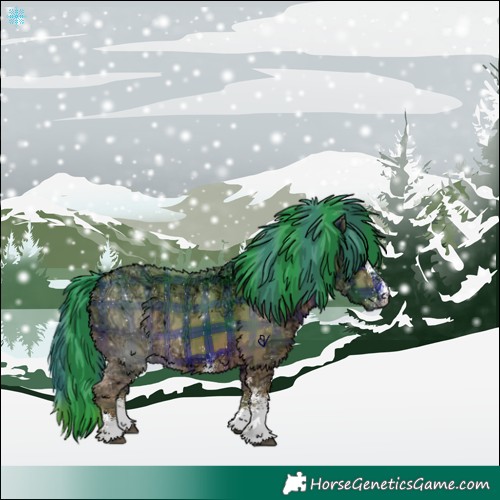Horse Color:Watercolor Plaid  White Spotted Bay Ice 