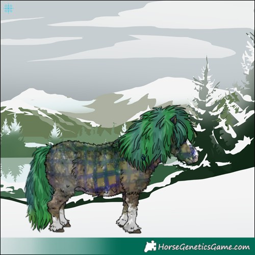 Horse Color:Watercolor Plaid  White Spotted Bay Ice 