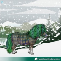Horse Color:Watercolor Plaid  White Spotted Bay Ice 