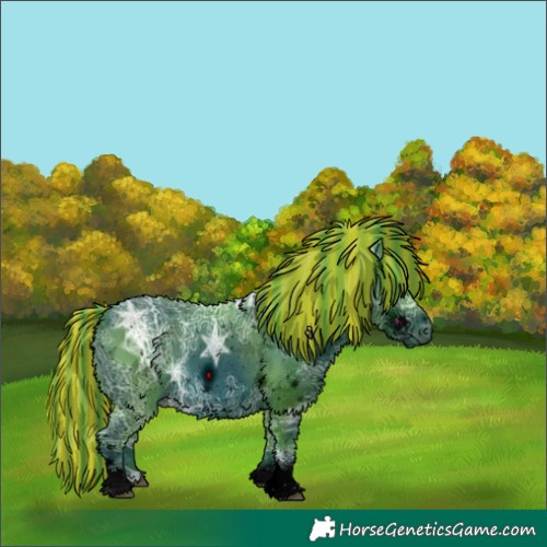 Horse Color:ERROR: UNKNOWN ANOMALY