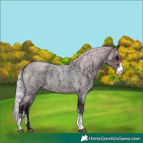 Horse Color:Watercolor White Spotted Silver Blue Ice Roan 