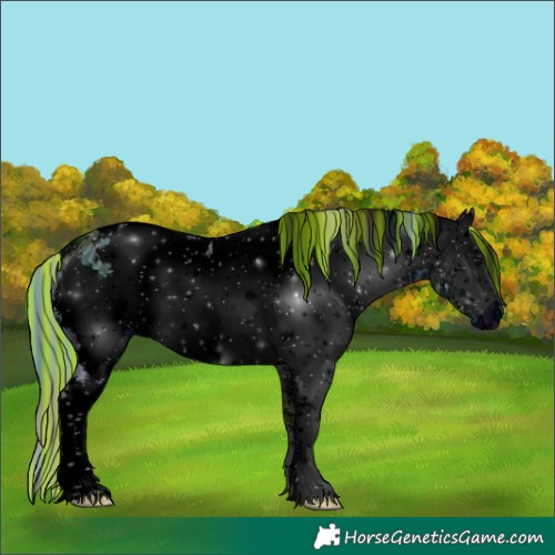 Horse Color:ERROR: UNKNOWN ANOMALY