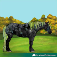 Horse Color:ERROR: UNKNOWN ANOMALY