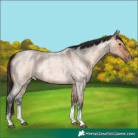 Horse Color:Bay Roan Dun Sabino Brindle 
