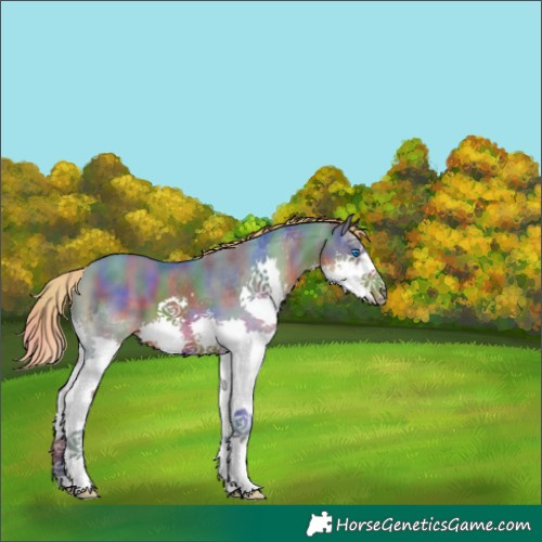 Horse Color:Nacre Watercolor Liver Chestnut Splash 