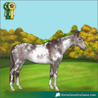 Horse Color:Platinum White Spotted Chocolate Brown Dun 
