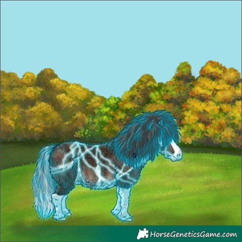 Horse Color:Thunderstruck Brown Ice Dun Splash 