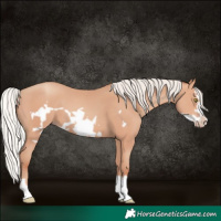 Horse Color:Silver Amber Champagne Frame 