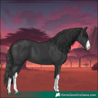 Horse Color:White Spotted Black 