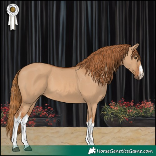 Horse Color:White Spotted Red Dun 