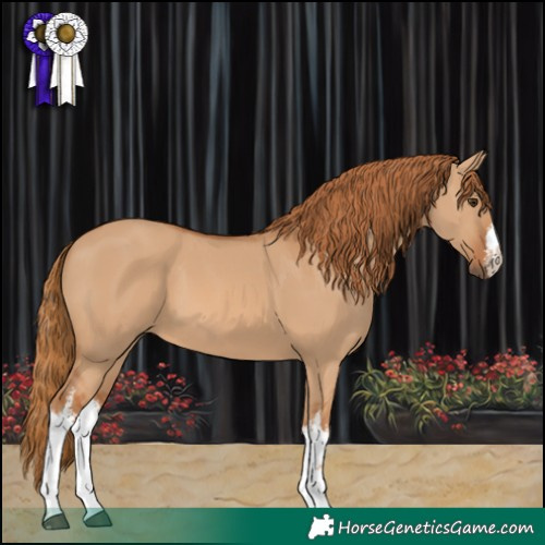 Horse Color:White Spotted Red Dun 