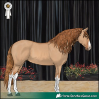 Horse Color:White Spotted Red Dun 