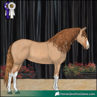 Horse Color:White Spotted Red Dun 