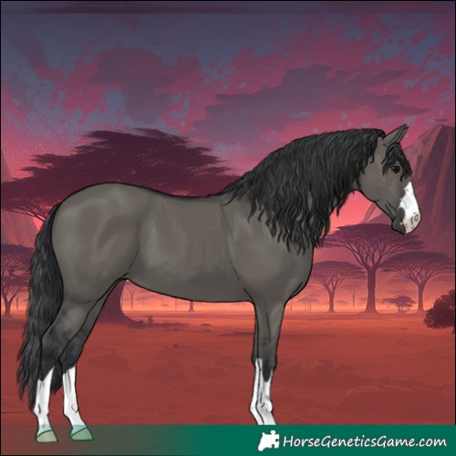 Horse Color:Grullo 
