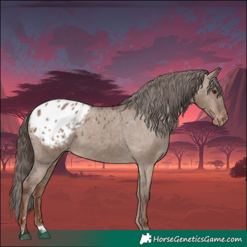 Horse Color:Liver Red Dun Blanket