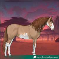 Horse Color:White Spotted Red Dun 