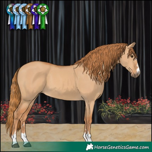 Horse Color:Red Dun