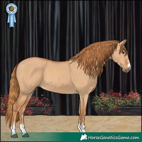 Horse Color:Red Dun 