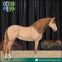 Horse Color:Red Dun 