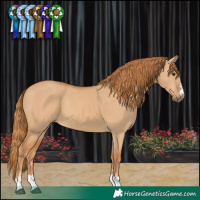 Horse Color:Red Dun 