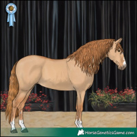 Horse Color:Red Dun 