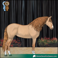 Horse Color:Red Dun 