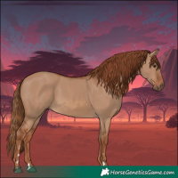 Horse Color:Red Dun 